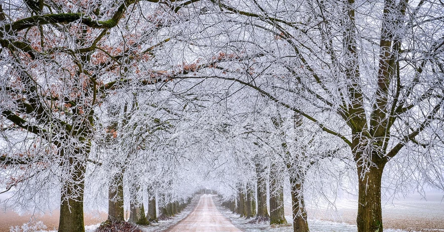 31 січня - яке сьогодні свято, що сьогодні не можна робити, традиції та прикмети цього дня