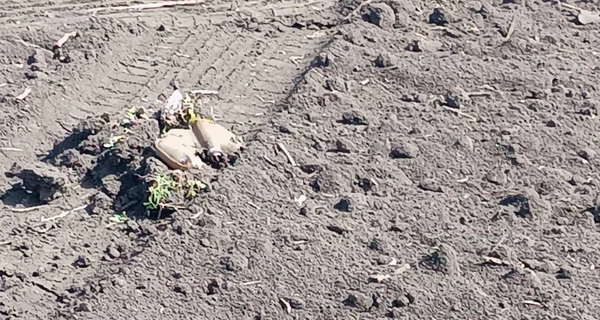 В Херсоне на мине подорвался автомобиль с семьей, среди пострадавших - двое детей