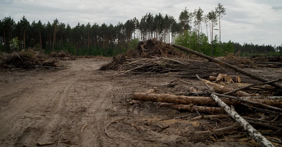 Военных возмутило решение Верховного Суда, признавшего незаконной передачу участка под мемориальное кладбище