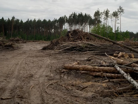 Военных возмутило решение Верховного Суда, признавшего незаконной передачу участка под мемориальное кладбище