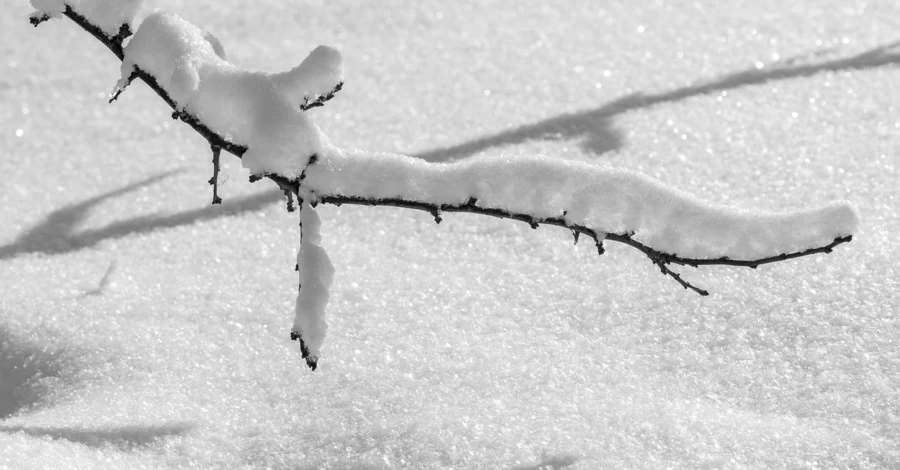 Україну 2 лютого накриє 28-градусний мороз, який триватиме кілька днів