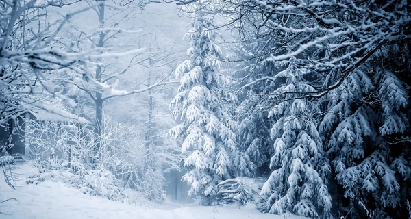 3 февраля в Украине прогнозируют до 28 градусов мороза и сильный гололед