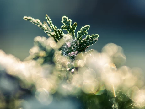 Погода на 5 лютого - в Україну йде потепління, але не надовго