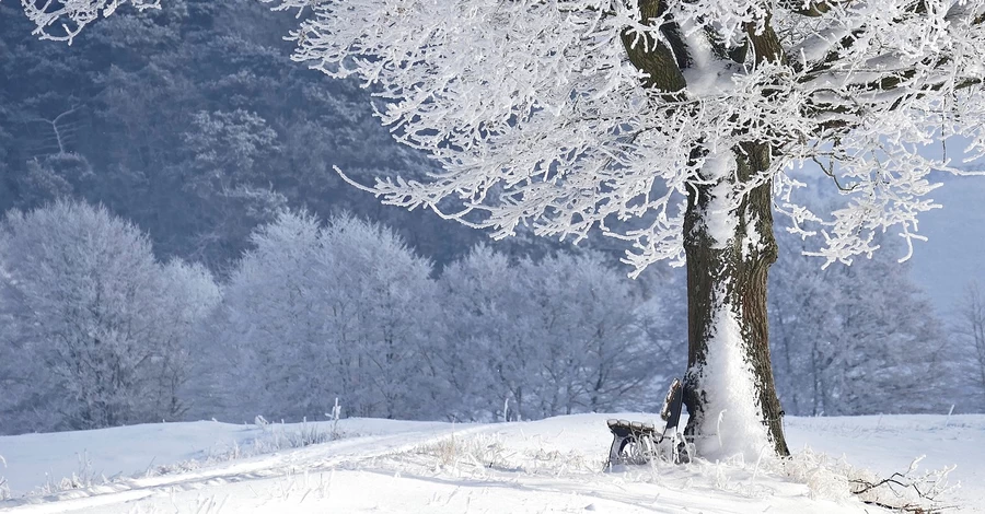 6 лютого - яке сьогодні свято, що не можна робити, традиції та прикмети, все про цей день