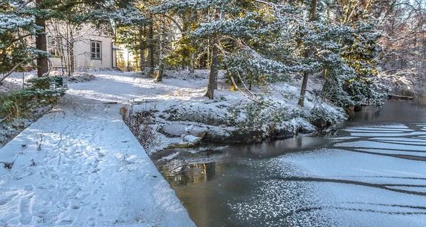 Погода в Украине 6 февраля: снег, мокрый снег, на западе и юге - с дождем