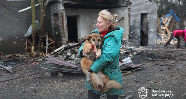 Россияне ударили по собачьему приюту в Запорожье, погибло много животных