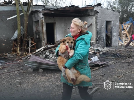 Россияне ударили по собачьему приюту в Запорожье, погибло много животных