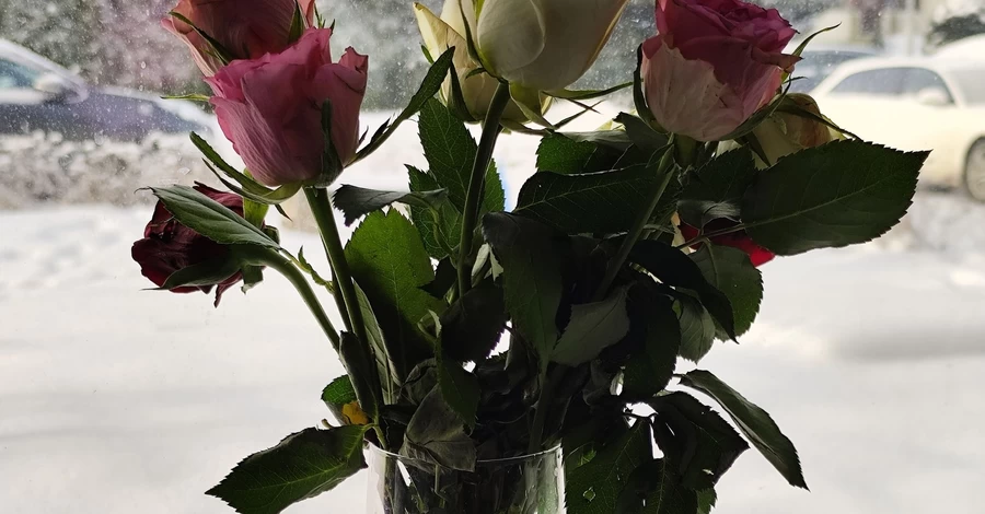 Розділяй і володарюй