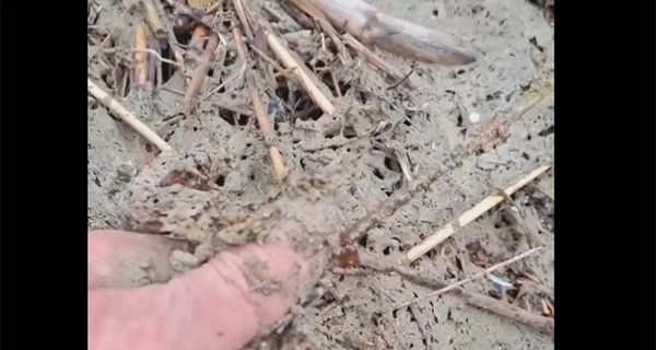 Побережье Одесской области загрязнено маслом – ее выбрасывает из моря после российских обстрелов