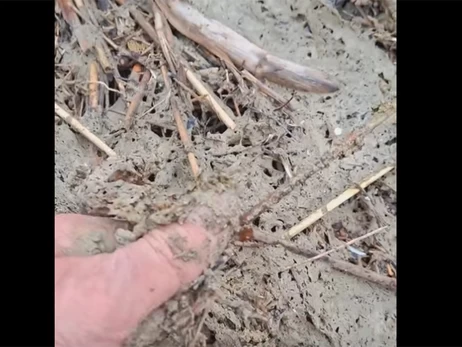 Побережье Одесской области загрязнено маслом – ее выбрасывает из моря после российских обстрелов