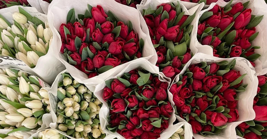 Тюльпаны к праздникам будут 