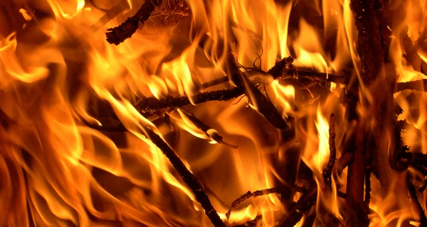 На Львовщине трагически погибли трое маленьких детей, их мать задержана