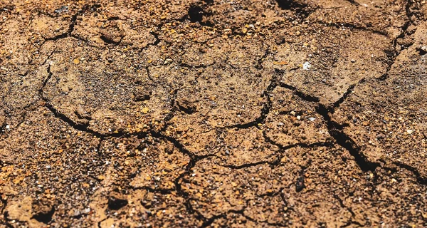 Закарпатье всколыхнуло новое землетрясение