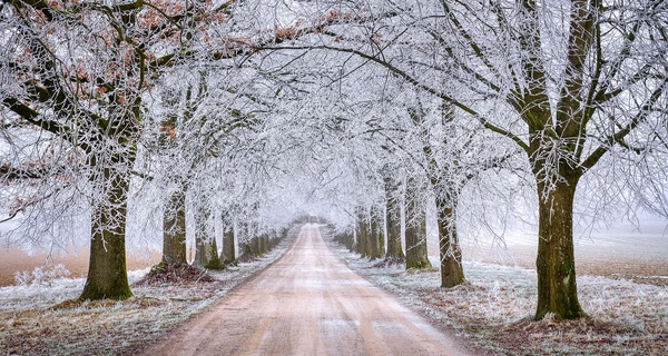 12 февраля – какой сегодня праздник, что нельзя делать, традиции и приметы этого дня