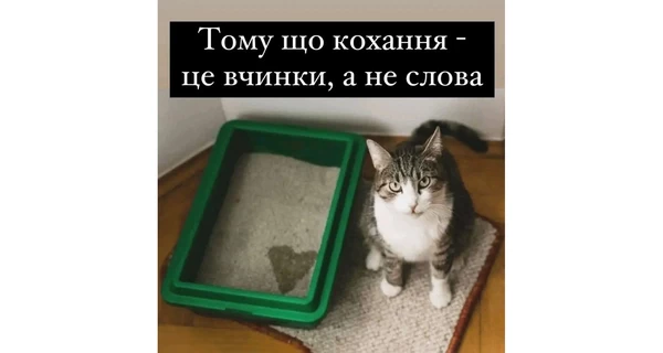 Анекдоты и мемы недели ко Дню всех влюбленных: All you need is love, крах России и книжечка