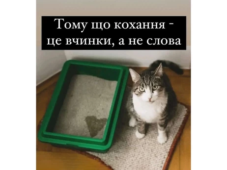 Анекдоты и мемы недели ко Дню всех влюбленных: All you need is love, крах России и книжечка