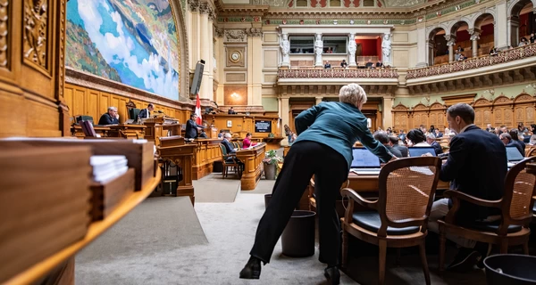 В Швейцарии пройдет референдум об ограничении населения 10 миллионами человек