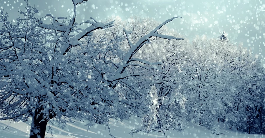 Україну накриють снігопади та морози: якою буде погода 15 лютого