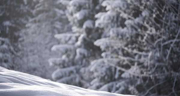 Волынь накрыл сильный снегопад, в Луцке с ночи расчищают дороги