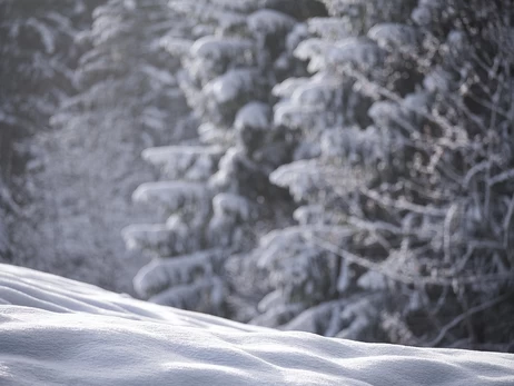 Волинь накрив сильний снігопад, у Луцьку з ночі розчищають дороги