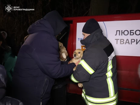 В Кропивницком снова спасали животных, переживших подрыв Каховской ГЭС