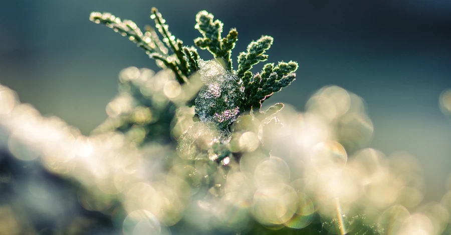 18 лютого - яке сьогодні церковне свято, що не можна сьогодні робити, традиції та прикмети, все про цей день