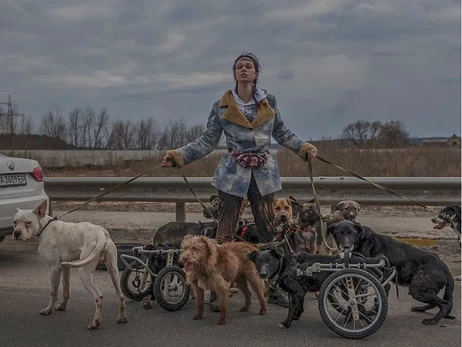 Героїня фото евакуації собак з Ірпеня: Притулок на межі, допомагати новим «хвостам» нема за що