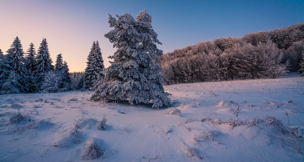 26 февраля - какой сегодня праздник, что сегодня нельзя делать, все об этом дне