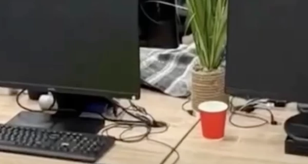 У Дніпрі викрили кол-центр, який може належати викраденому на Балі українцю