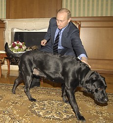 Собака Путина вышла на связь с космосом  