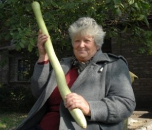 Украинка выращивает двухметровые огурцы  