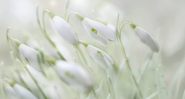 1 марта – первый день весны какой церковный праздник, что сегодня нельзя делать, обычаи и традиции, все об этом дне