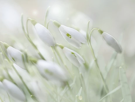 1 березня - перший день весни яке церковне свято, що сьогодні не можна робити, звичаї та традиції, все про цей день