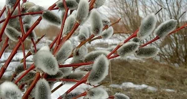 1 березня – як точка опори: чому ми так чекаємо на весну