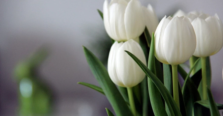 3 березня - яке церковне свято, що сьогодні не можна робити, традиції та прикмети цього дня, все про цей день