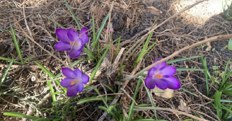 4 марта – какой церковный праздник сегодня, что сегодня нельзя делать, традиции и приметы этого дня