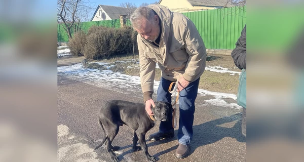 Врятували один одного: як кинутий агресивний пес став найкращими ліками для ветерана