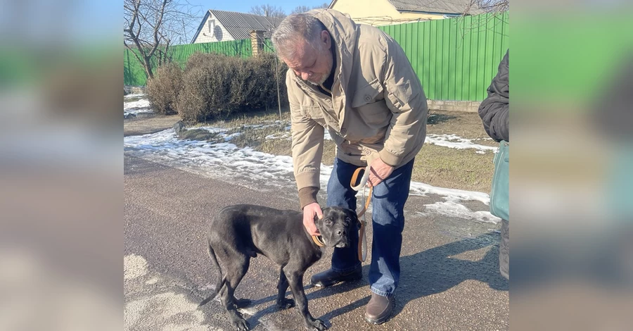 Врятували один одного: як кинутий агресивний пес став найкращими ліками для ветерана