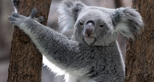 5 березня - яке сьогодні церковне свято, традиції та прикмети цього дня і що не можна робити