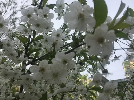 6 березня - яке сьогодні свято, що не можна робити, традиції і прикмети цього дня