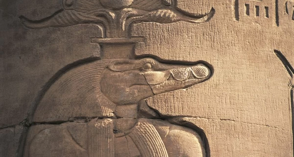 Тайна мумии крокодила из Лавры: кто и зачем заколол священное животное кинжалом