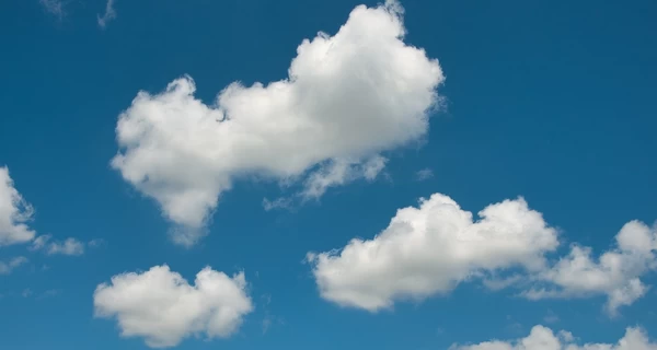 В Украине 8 марта будет тепло, в некоторых областях - до +15