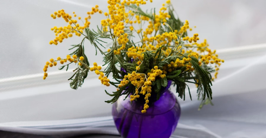 Гілочка мімози за 600 грн, - українці скаржаться на 