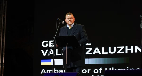 Медийная активность Залужного стала реакцией на длительную дискредитационную кампанию, - СМИ