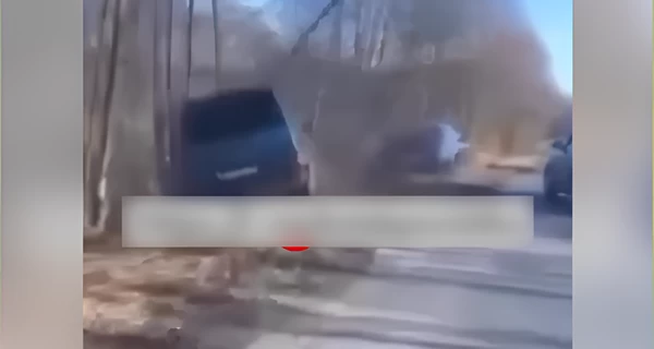 На Волині невідомі підрізали автівку ТЦК та забрали чоловіка: з'явилося відео