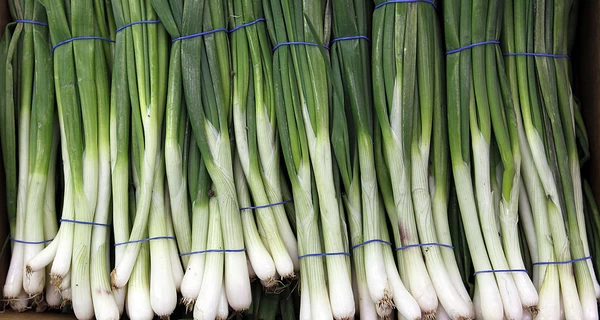 Крапива для гемоглобина, черемша для иммунитета: чем полезна первая весенняя зелень