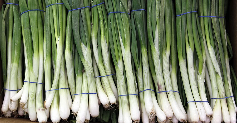 Крапива для гемоглобина, черемша для иммунитета: чем полезна первая весенняя зелень