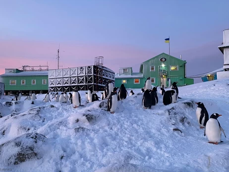 Полярники показали унікальні кадри першої української ротації на 