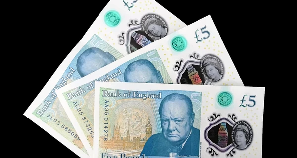 На нових банкнотах Банку Англії можуть з’явитися тварини та птахи замість історичних постатей