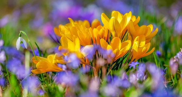 12 березня - яке сьогодні свято, традиції та прикмети цього дня, що сьогодні не можна робити, все про цей день